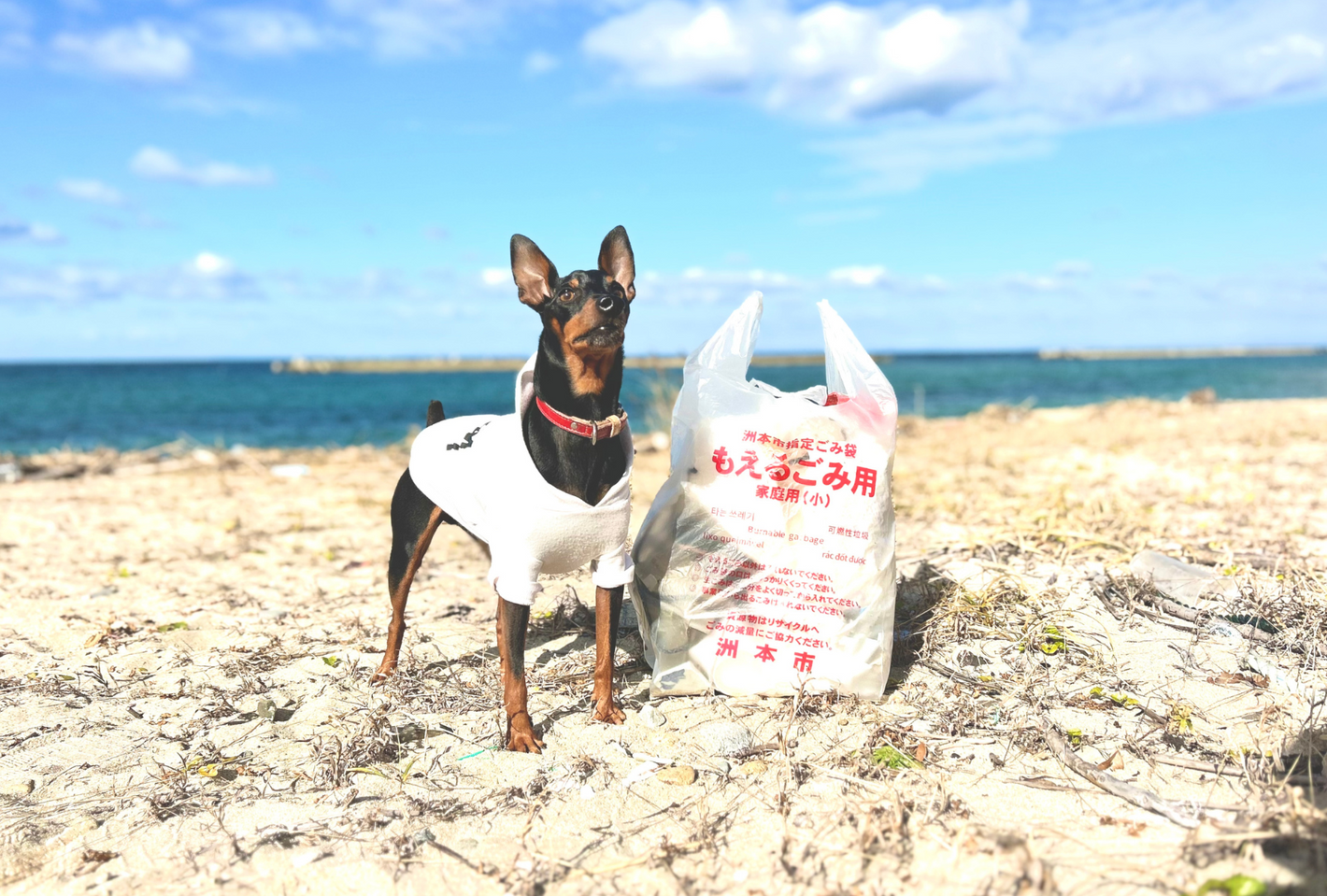 淡路島ビーチクリーン活動（新都志海水浴場）- seaside kitchen（シーサイドキッチン）