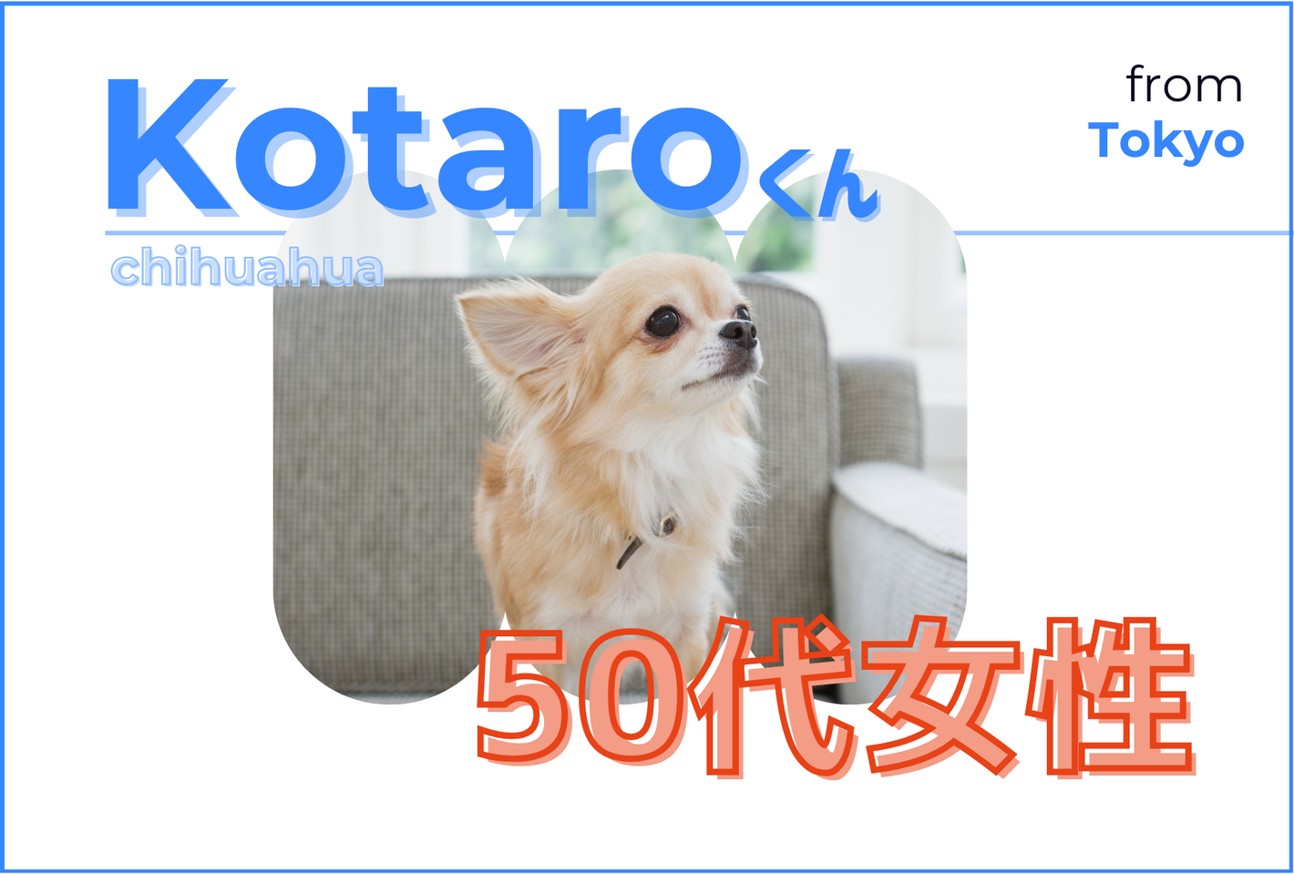 犬用乾燥野菜・ドッグフードのお客様の声 - seaside kitchen（シーサイドキッチン）