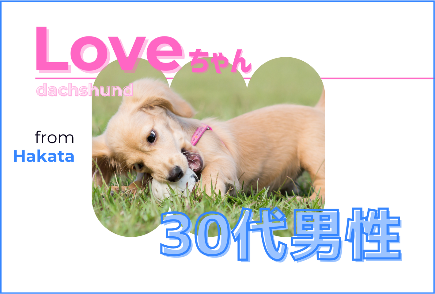 犬用乾燥野菜・ワンちゃんのおやつのお客様の声 - seaside kitchen（シーサイドキッチン）