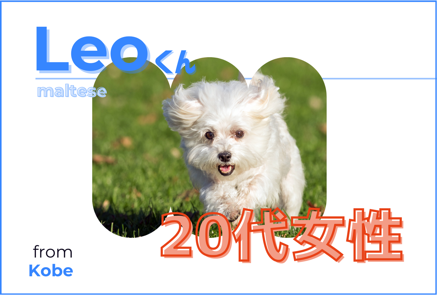 淡路島産規格外野菜を使った犬用乾燥野菜のお客様の声 - seaside kitchen（シーサイドキッチン）