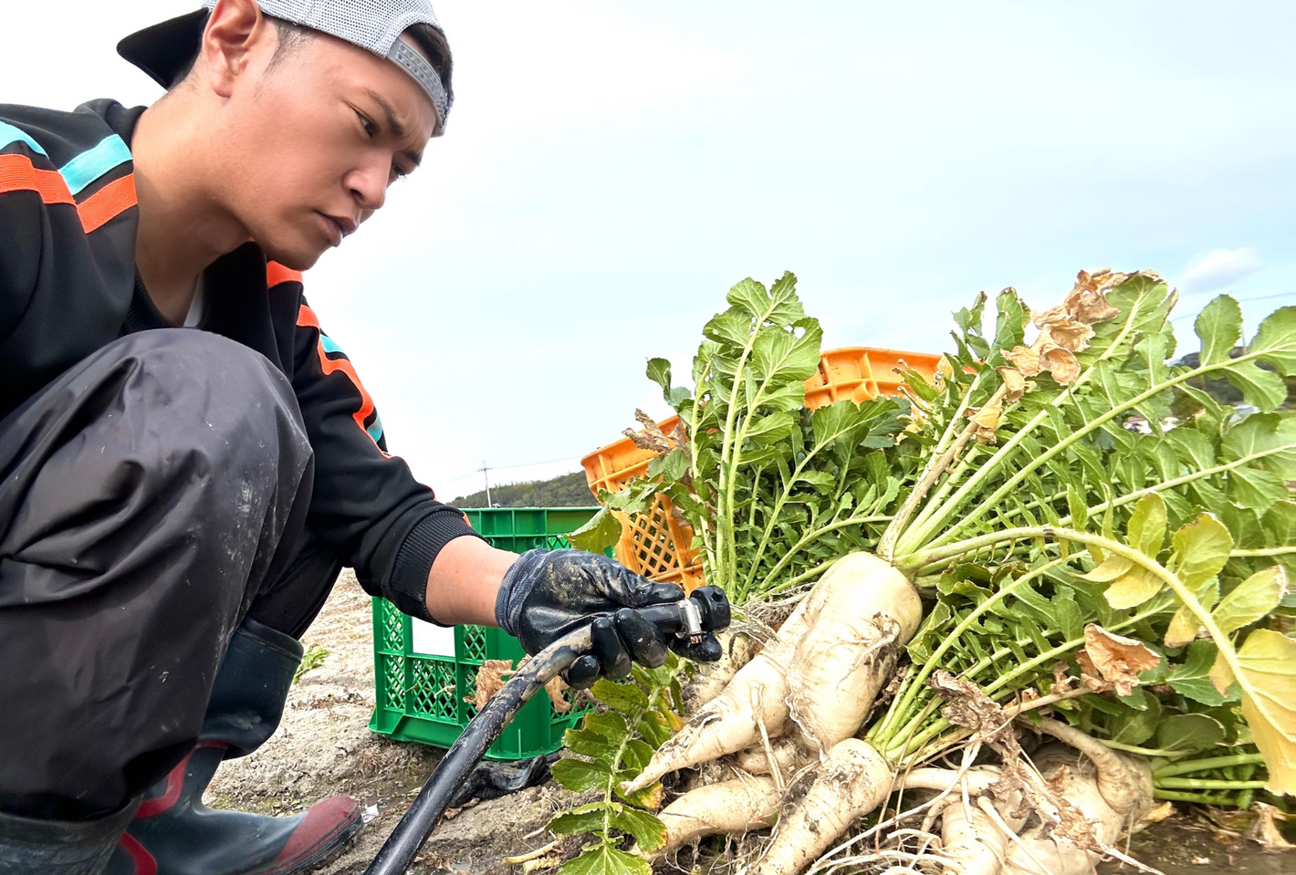 農業未経験者が挑む自社農園FARM SEASIDE - seaside kitchen（シーサイドキッチン）